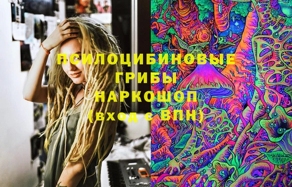 молекула духа Балахна