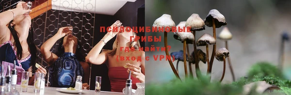 молекула духа Балахна