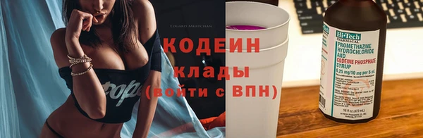 молекула духа Балахна