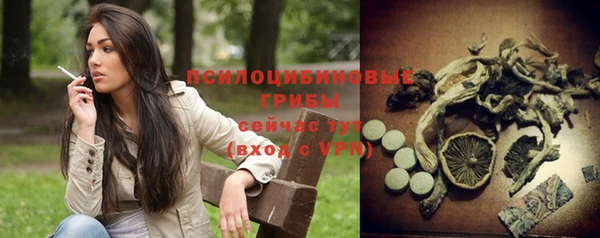 ГАЛЛЮЦИНОГЕННЫЕ ГРИБЫ Баксан