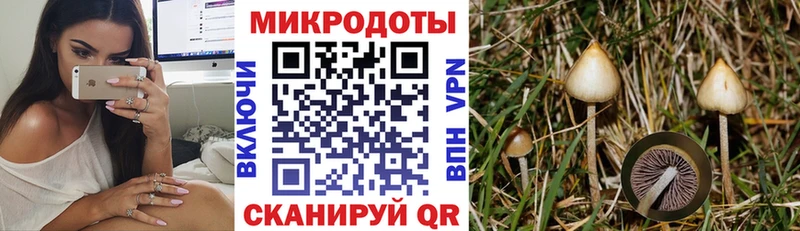 Галлюциногенные грибы Psilocybine cubensis Туапсе
